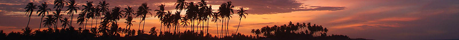 Benin, Grand Popo, red sunset palms, Banner.