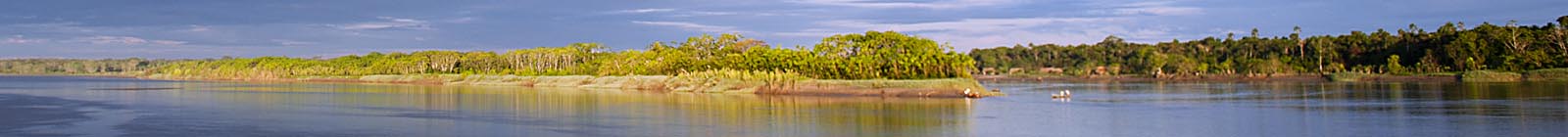 Headland in the Maranon River, mellow morning light, Peruvian jungle - Banner