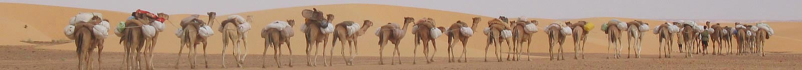 Mauritania Caravan Banner