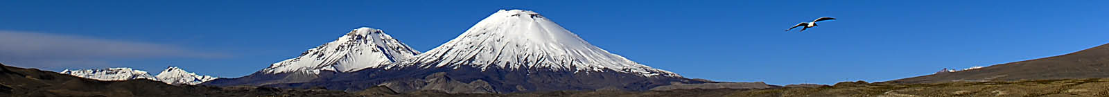 Parinacota, Pomerape, volcanoes in Chile - Banner