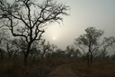 Arli National Park, Burkina Faso, Harmattan.