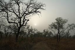 Arli Early moring, Burkina Faso, Harmattan