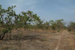 Roads in W National Park