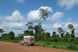 Cote d'Ivoire, 6x6 Land Rover, road and scrub, one tree left, all else fire cleared.