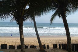 Tereso Hotel, Grand Bassam, Palm trees and beach and sea in back, Atlantik Ocean, Cote d'Ivoire, Ivory Coast.