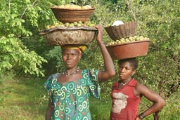 2 Malian women carrying fruits in baskets on their heads