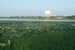 Yamoussoukro, Basilica from far, morning light, sea roses in front. 