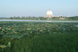 Yamoussoukro, Basilica from far, morning light, sea roses in front. 
