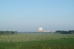 Yamoussoukro, Basilica from far, lake and sea roses in front.