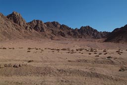 Sinai, mountains, desert.