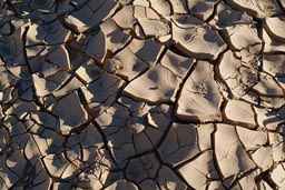 Sinai dry earth crust, Egypt.