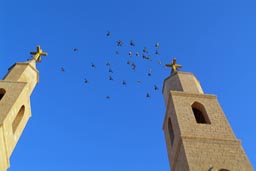 Pigeons between church towers of Saint Anthony monastery, Egypt.