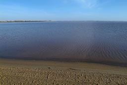 Siwa Oasis, lake and beach. Egyptian desert.