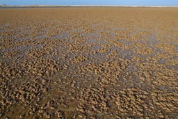 Brakish salt water Egyptian oasis Siva.
