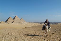 Donkey rider in front of Giza Pyramids.