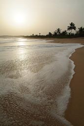 Turtle Beach Lodge Beach