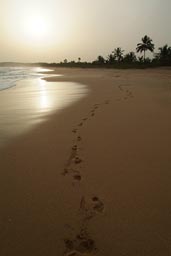 Turtle Beach Lodge Beach