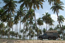 Ghana Land Rover 6x6 on beach near Princes Town, Palm Trees.