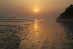 Evening Ghana beach and palms