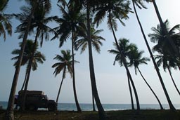 Ghana Land Rover and Palm Trees,