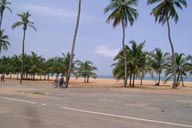 Lome, Togo, seafront, palms on beach.