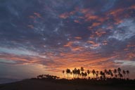 Red Sunset, clouds and palmtrees over beach.