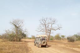 Niger national park, lonelyness, dust and heat, 6 wheeled Land Rover, northern Benin.