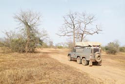 Sahel, dust and dryness, Niger National Park.