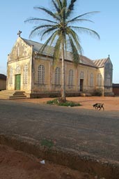 A church, a palm, a goat, village Togo.