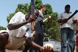 Coconut being peeled with machete, Group of people, two African, one cutting coconut, white woman eating coconut, drink from coconut, Guinea Bissau.