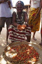Woman and red palm kernels, Guinea Bissau.