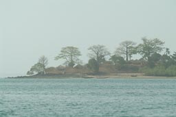 Rubane from Bubaque, Baobabs, on beach, misty, Arquipelago dos Bijagos. Islands. Guinea Bissau.