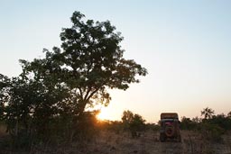 Bush camp, sunset, Guinea.