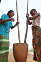 Grinding Manioc leaves.