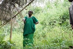 Marie Soropogui, Tree nursery, Reforestation, Yomon, Guinea Foretiere.