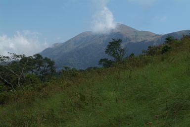 Mount Nimba, Guinea Forestiere.