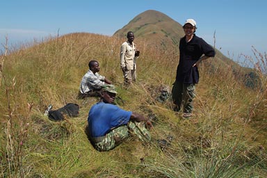 Mount Nimba, Guinea Forestiere, at 1480m of altitude.