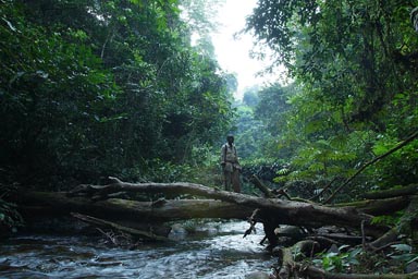 Mount Nimba, Guinea Forestiere, Henry and stream.