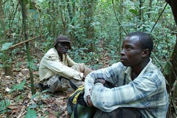 Mount Nimba, Guinea Forestiere, Pascal and Henri, tropical forest.