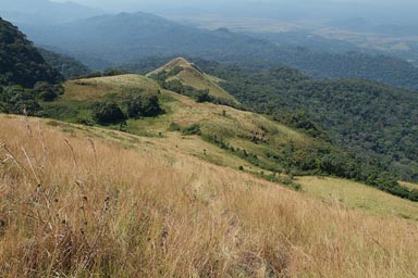 Mount Nimba, Guinea Forestiere, looking down towards Liberia.