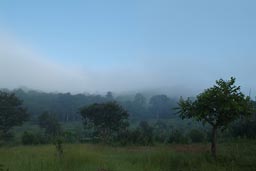 After Les chutes de la Sala, Labe, Fouta Djallon, Guinea. Africa bush is beautiful