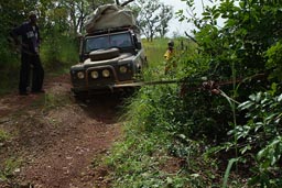 North of Guinea, Mali to Touba to Koundara, bad roads, Land Rover, pulling with high jack lift.