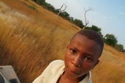 North of Guinea, Mali to Touba to Koundara, Mohamed Fofana, on top of Land Rover, high grass Savanna.