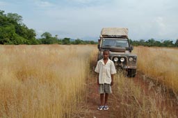 North of Guinea, Mali to Touba to Koundara, Mohamed Fofana, Land Rover, high grass Savanna.