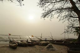 Pirogues, fishing boets, fishing net, Baobab on Koba plage beach, Guinee|Guinea Conakry .