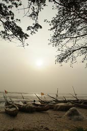 Pirogues, fishing boets, fishing net, Baobab on Koba plage beach, Guinee|Guinea Conakry .