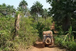Road near Guinea Bissau border, Land Rover, jungle, palm trees, bad road, Guinea maritime.