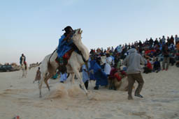 Tuareg Chasing tourists ...