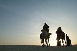 Tuareg gathering on dromedaries against the setting sun.