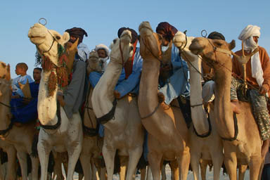 Tuareg riders